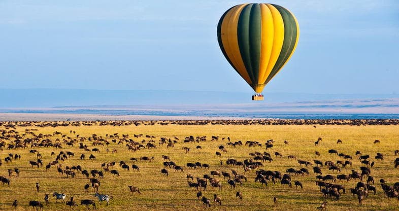 Hot air balloon safari over African savannah at sunrise